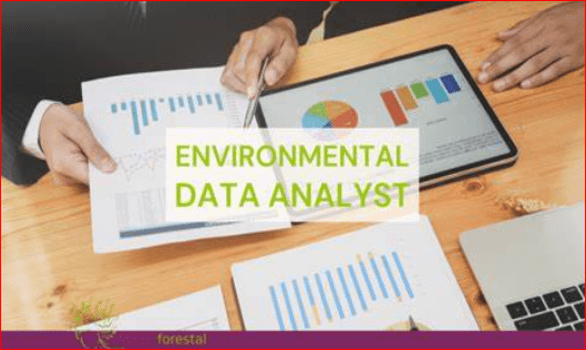 Environmental Data Analyst