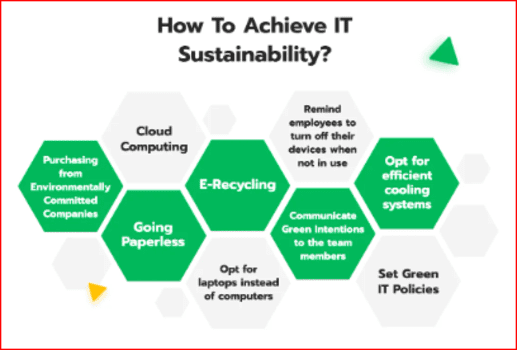 Sustainability IT Consultant